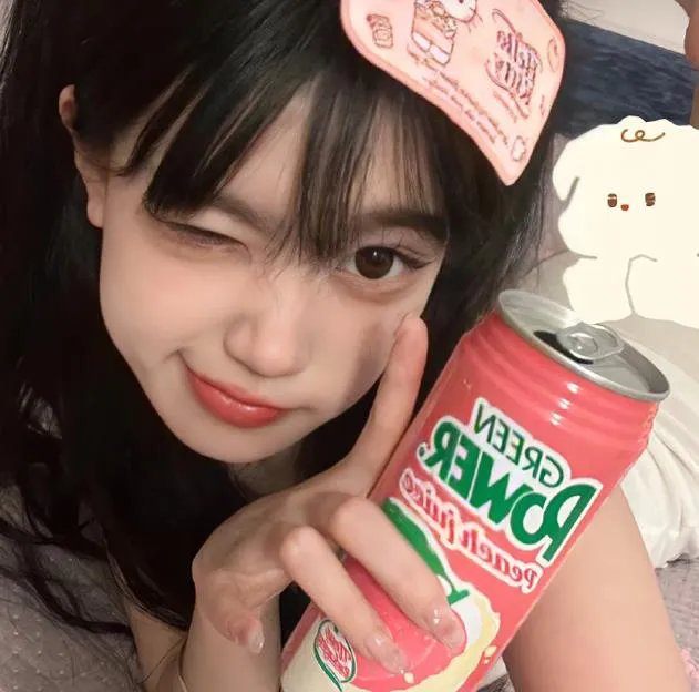 三个盗贼和狮子
